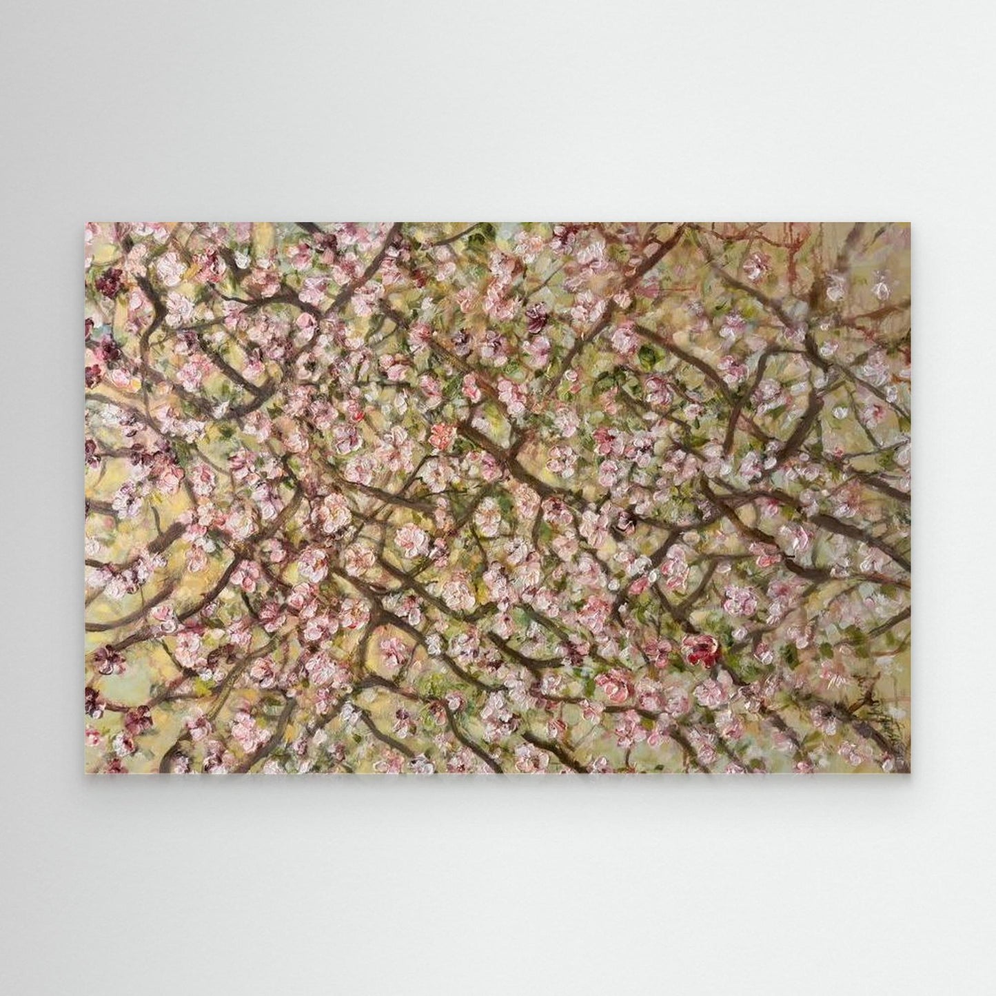 Springtime in the Air - Konsttryck - körsbärsblommor